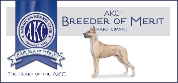 AKC Breeder of Merit