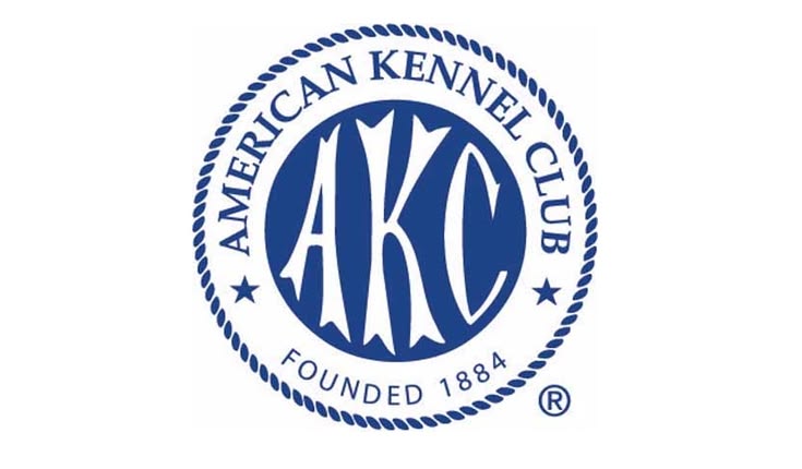 AKC Registration